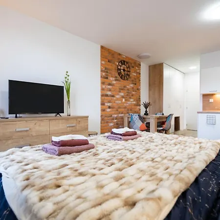 101 Apartament Zuberzec